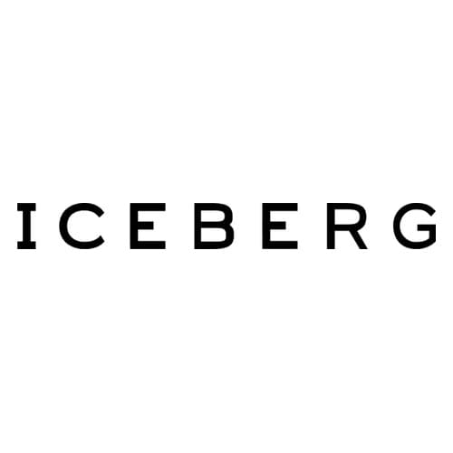 Iceberg logo